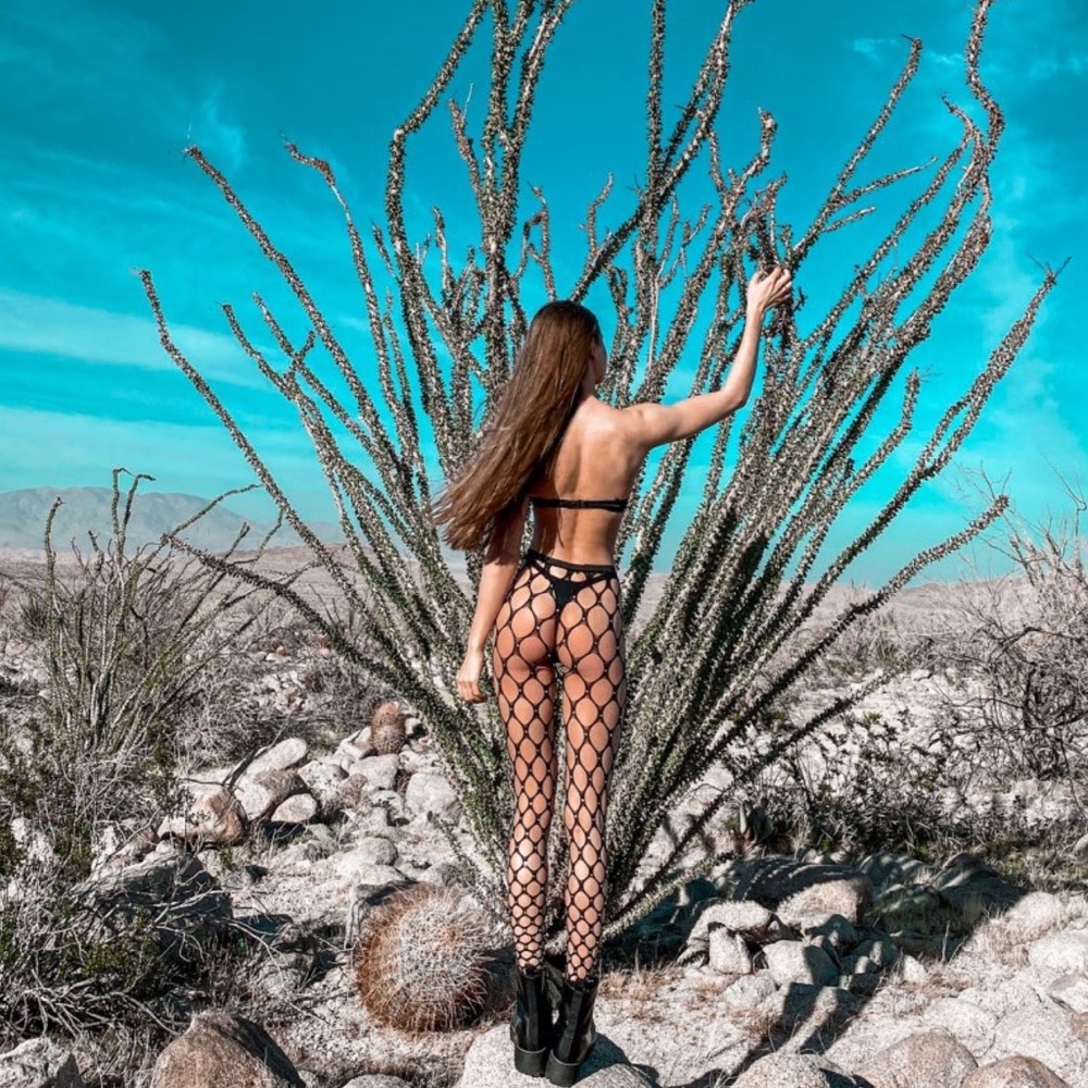 Sexy Crystal Bling Fishnet High Waist Leggings - Picture 7 of 16